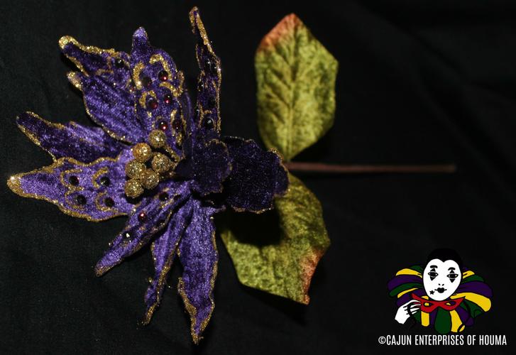 JEWEL POINSETTIA-2164