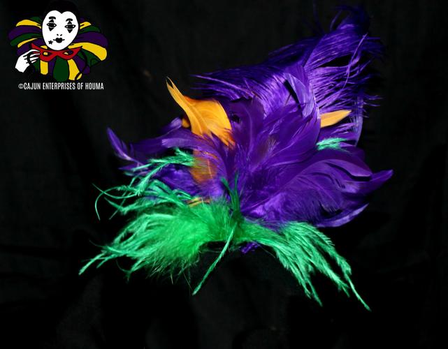 PGG FEATHER HEADBAND