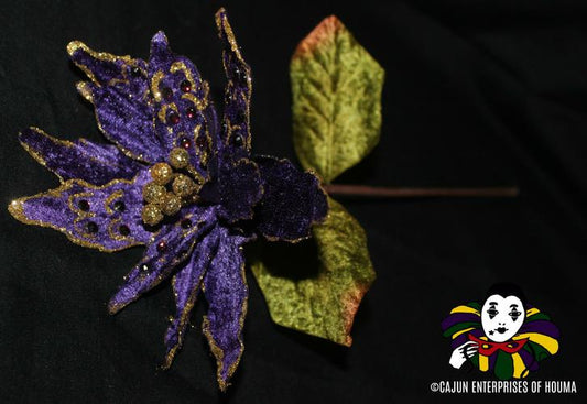 JEWEL POINSETTIA-2164
